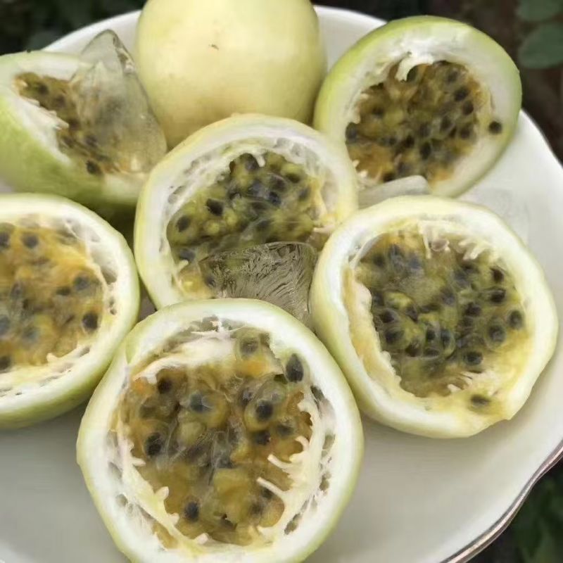 海南百香果钦蜜9号，批发对接电商一件代发坏果包赔
