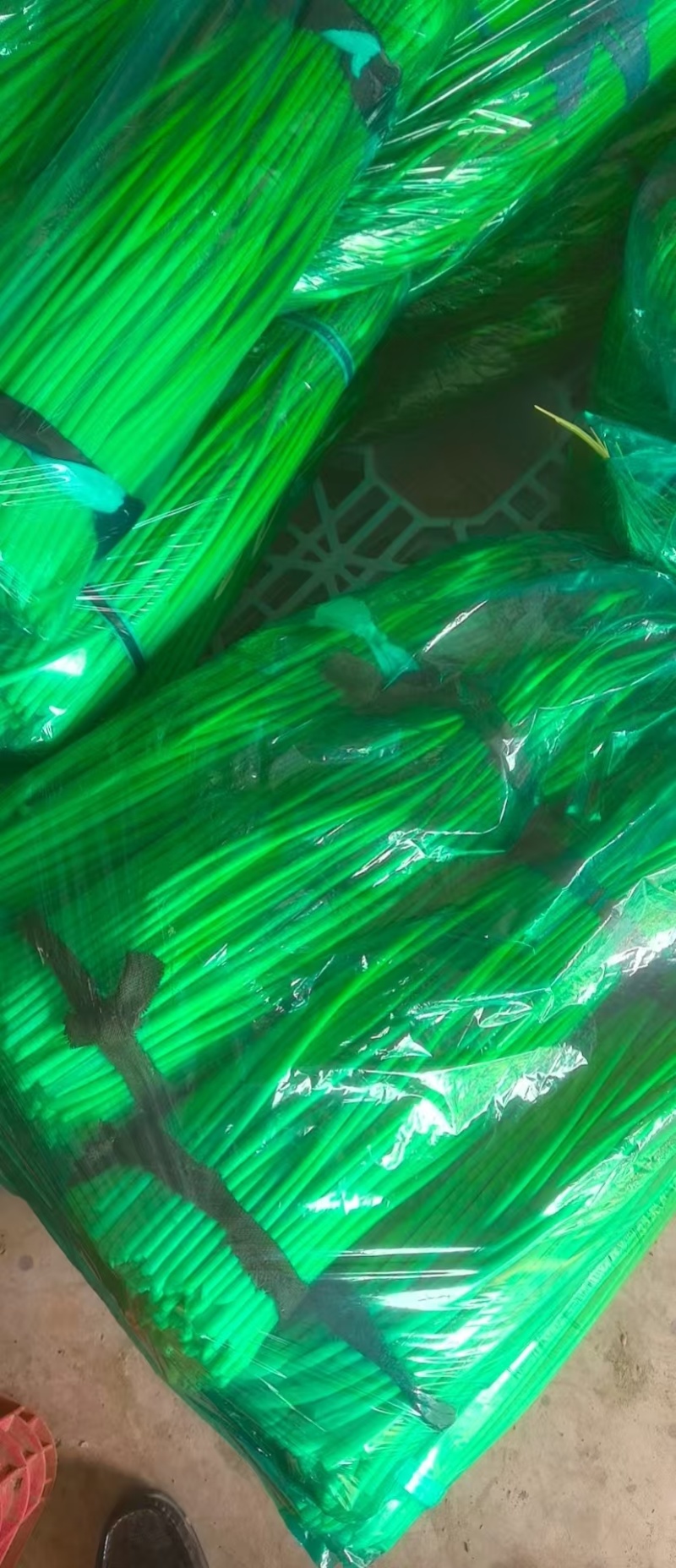 江苏精品蒜苔脆嫩爽口基地直发承接电商市场商超