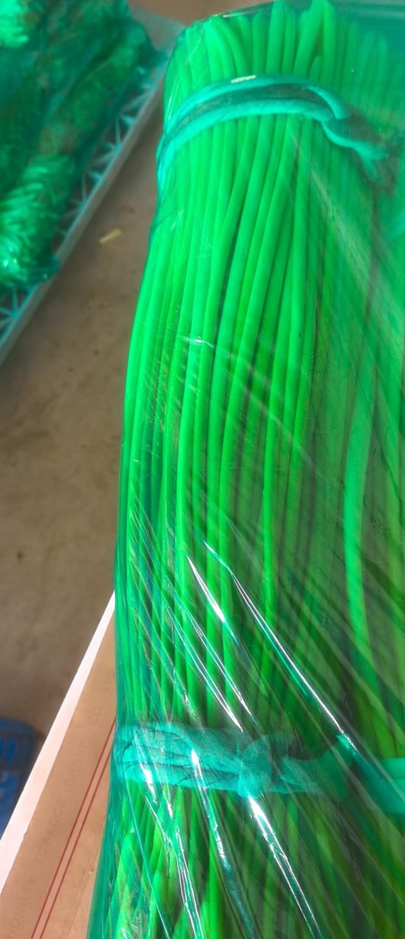 江苏精品蒜苔脆嫩爽口基地直发承接电商市场商超