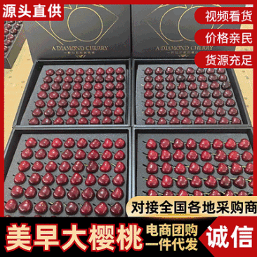 大连美早大樱桃【基地现摘】规格齐全/量大从优/欢迎来电