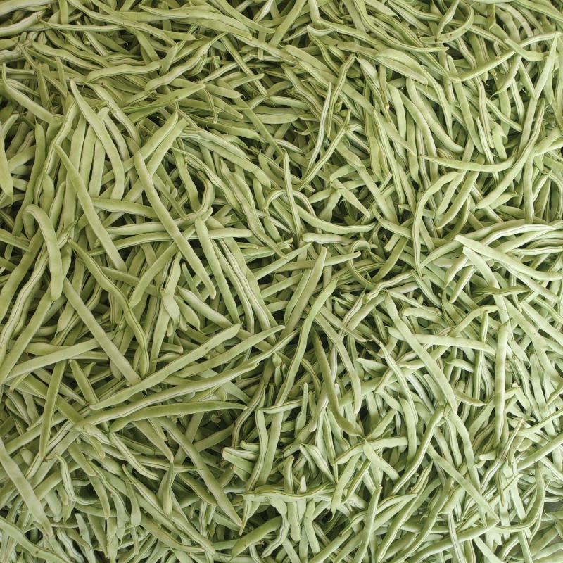 白不老芸豆产地直销量大质优价格优惠欢迎咨询采购