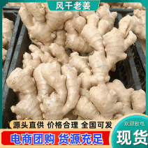 山东老姜/产地常年批发【烘干姜沙土姜】电商批发商超