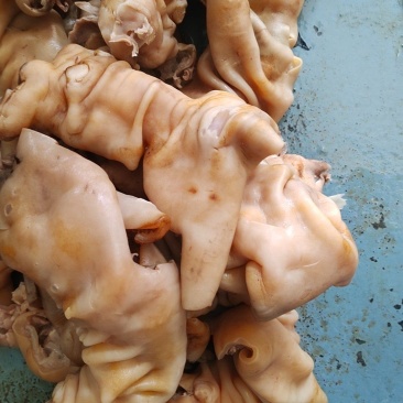 牛蹄筋量大质优价格优惠支持视频看货欢迎各大老板采购