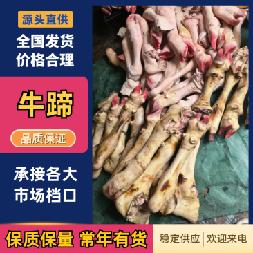 牛蹄厂家直销量大质优价格优惠欢迎各大老板前来采购