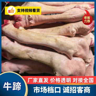 【热卖】牛蹄规格齐全质量保证价格优惠欢迎咨询采购
