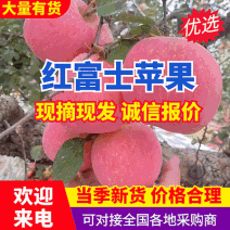山东苹果/红富士苹果『规格齐全常年供应』产地代发全国