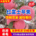 『红富士苹果』山东苹果/条纹片红全红纸加膜常年供应