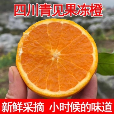 精品青见柑橘全国发货可视频看货保质保量一手货源