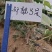 郑靓5号菜用南瓜种子早熟高产春秋菜南瓜种籽花皮长圆条形