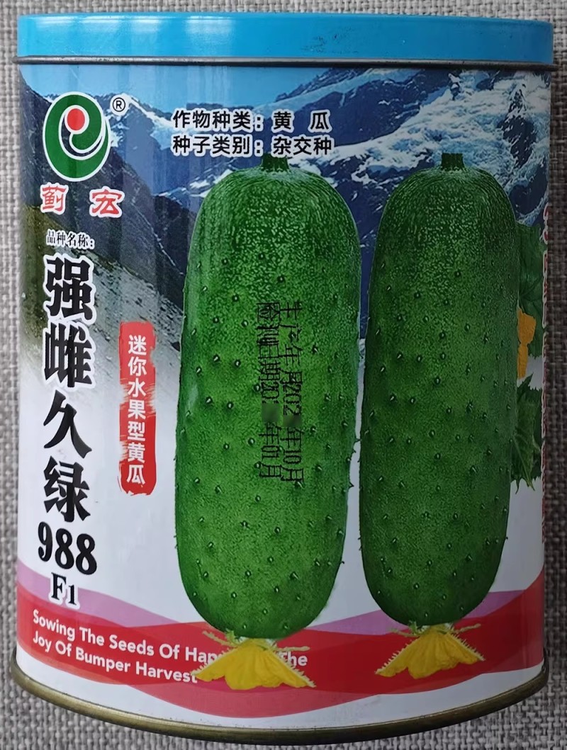 多雌欧米翠水果黄瓜种子亮绿薄皮脆嫩清香强雌久绿短棒黄瓜种