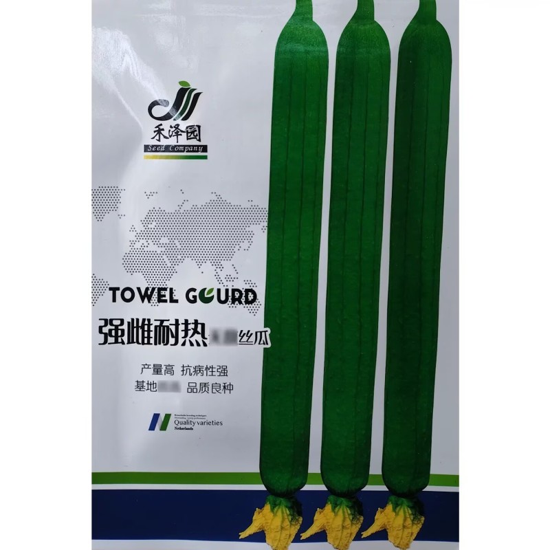 强雌耐热丝瓜种子荷兰引进高产抗病早熟特长丝瓜种籽春秋大棚