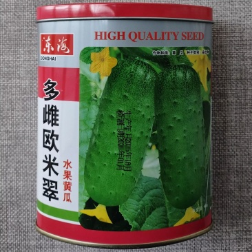 多雌欧米翠水果黄瓜种子亮绿薄皮脆嫩清香强雌久绿短棒黄瓜种