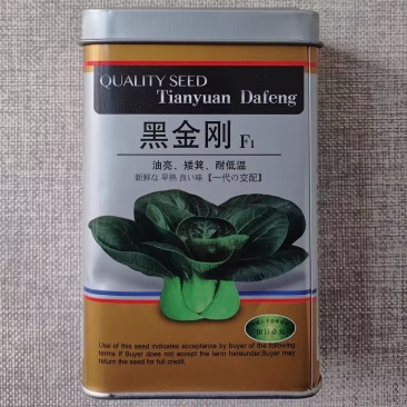 黑金刚矮萁青种子油亮矮脚墨绿叶苏州青种籽青梗菜大青菜鲜嫩