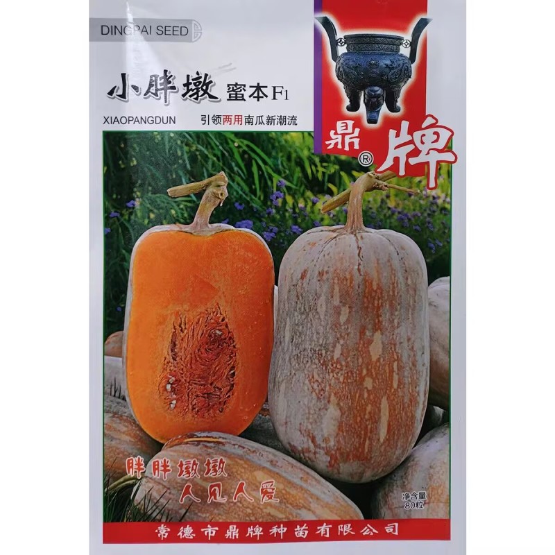 小胖墩蜜本南瓜种子早熟两用型南瓜种籽口感甜糯果肉桔红高产