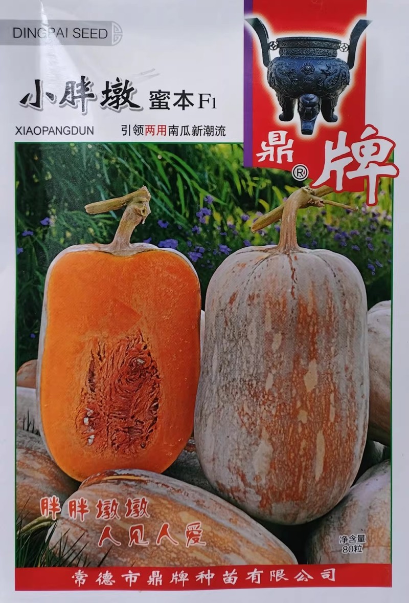 小胖墩蜜本南瓜种子早熟两用型南瓜种籽口感甜糯果肉桔红高产