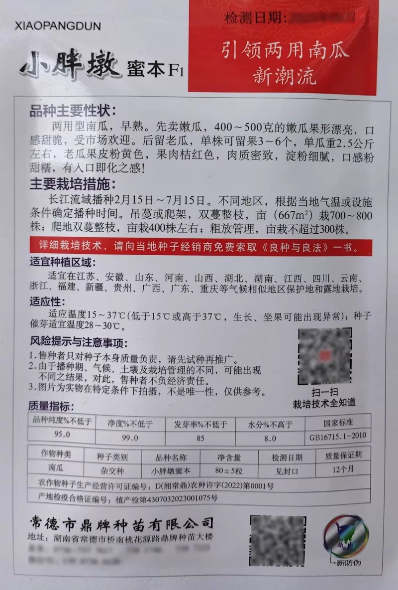 小胖墩蜜本南瓜种子早熟两用型南瓜种籽口感甜糯果肉桔红高产