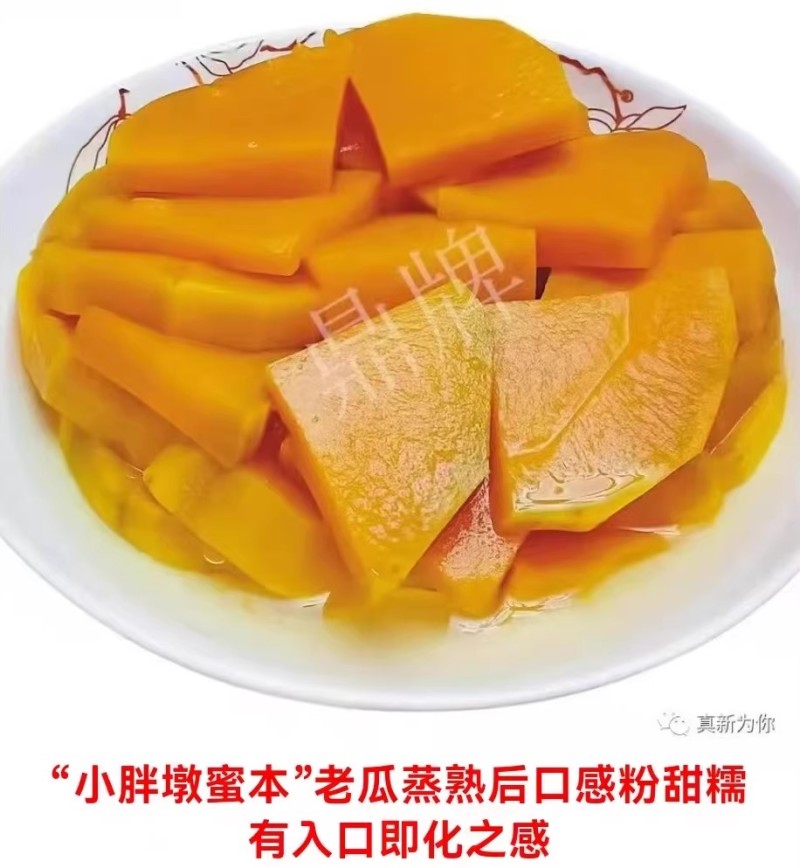 小胖墩蜜本南瓜种子早熟两用型南瓜种籽口感甜糯果肉桔红高产