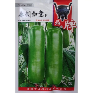 春棚如意露地传奇瓠子瓜种子果皮嫩绿肉质清香早熟瓠瓜种籽