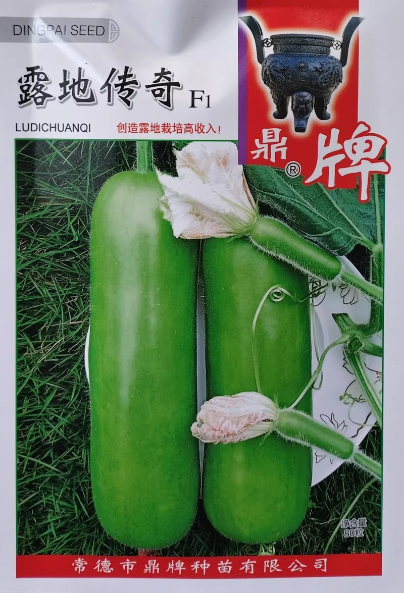 春棚如意露地传奇瓠子瓜种子果皮嫩绿肉质清香早熟瓠瓜种籽