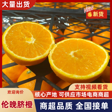 伦晚脐橙湖北脐橙汁多化渣产地直发全国发货可视频