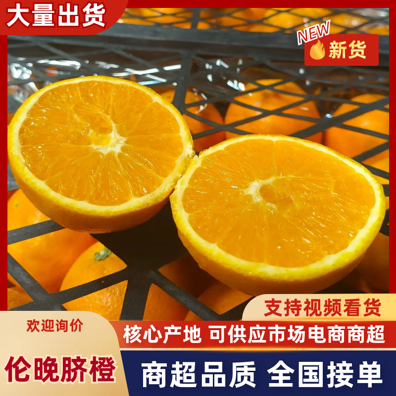 伦晚脐橙湖北脐橙汁多化渣产地直发全国发货可视频