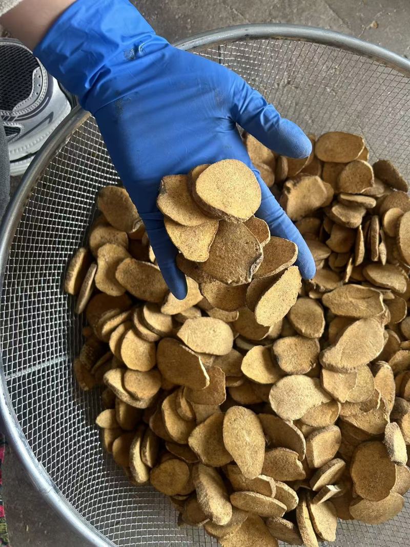 山东菏泽炒泽泻/颜色好货干/量大从优实拍视频