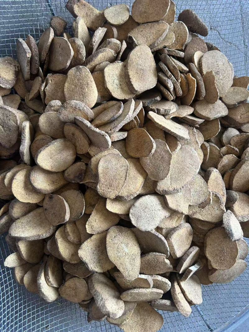 山东菏泽炒泽泻/颜色好货干/量大从优实拍视频