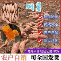 《精选》唐山烟薯红薯/商品薯烤薯加工薯/产地代发全国