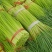 精品红帽蒜苔大量上市基地直发承接食堂酒店市场商超