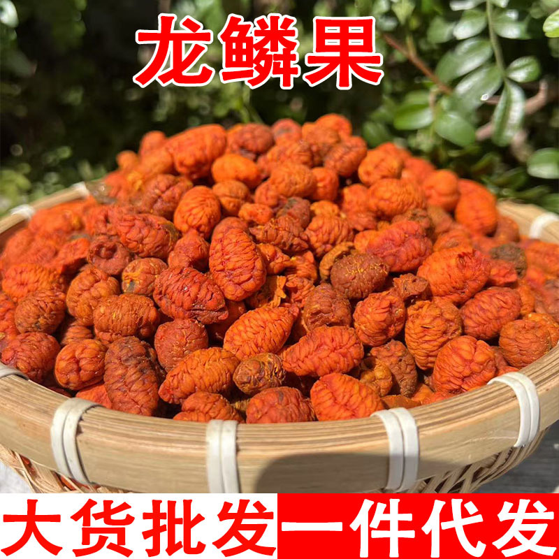 龙麟果栀子仁电商热卖云南山货龙胆果去壳去皮栀子仁源头货源