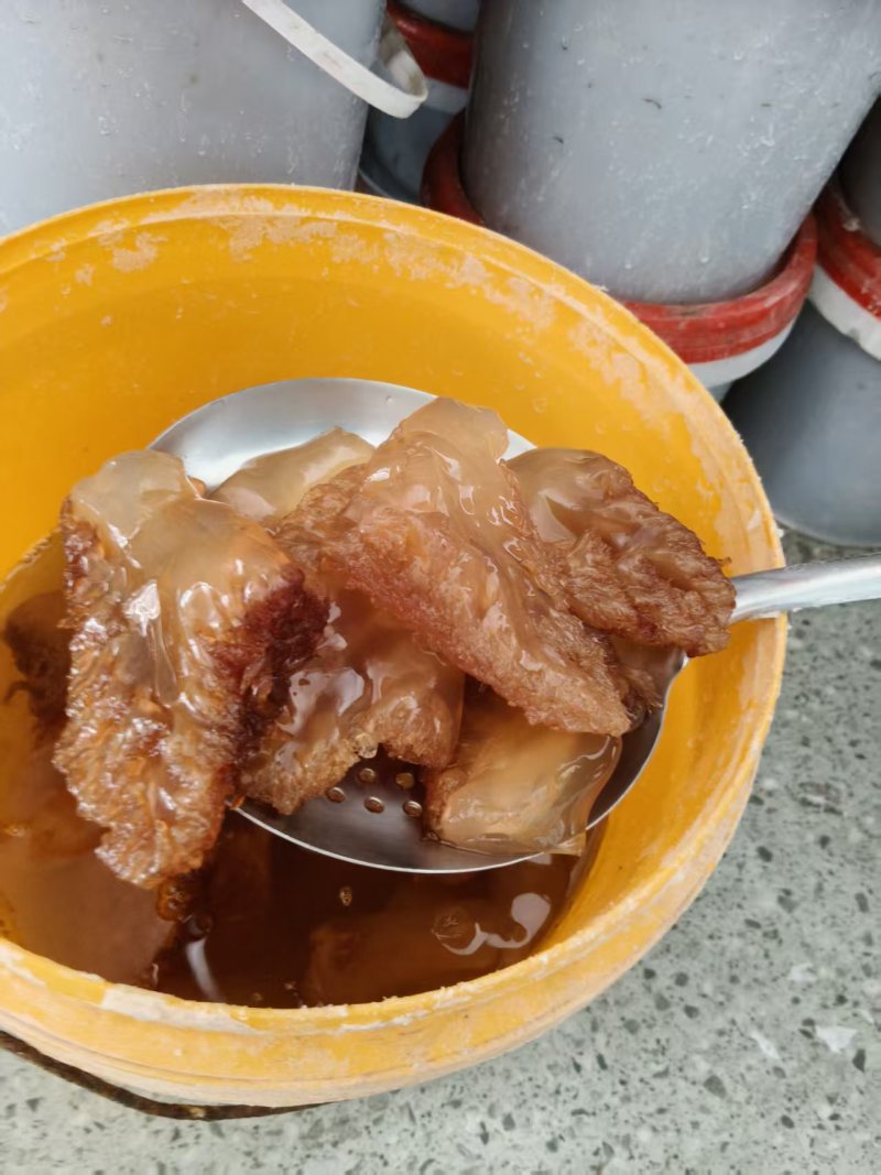精品海蜇头脆爽可口视频看货全国发货常年供应