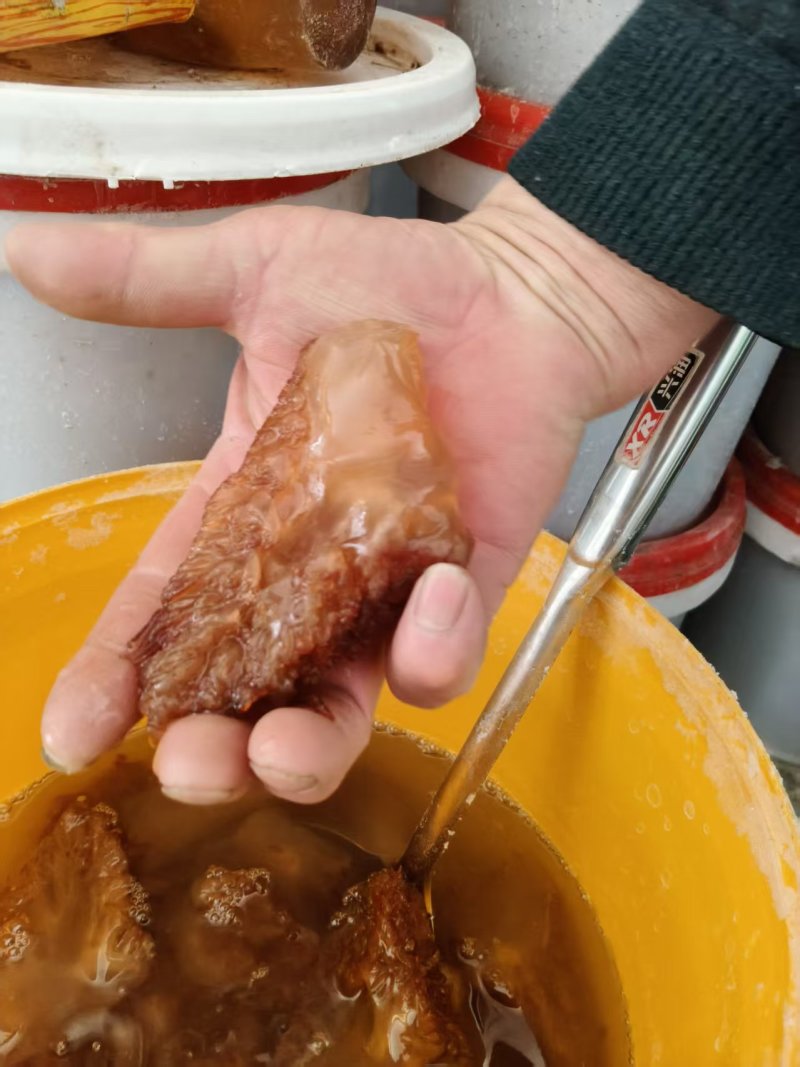 精品海蜇头脆爽可口视频看货全国发货常年供应