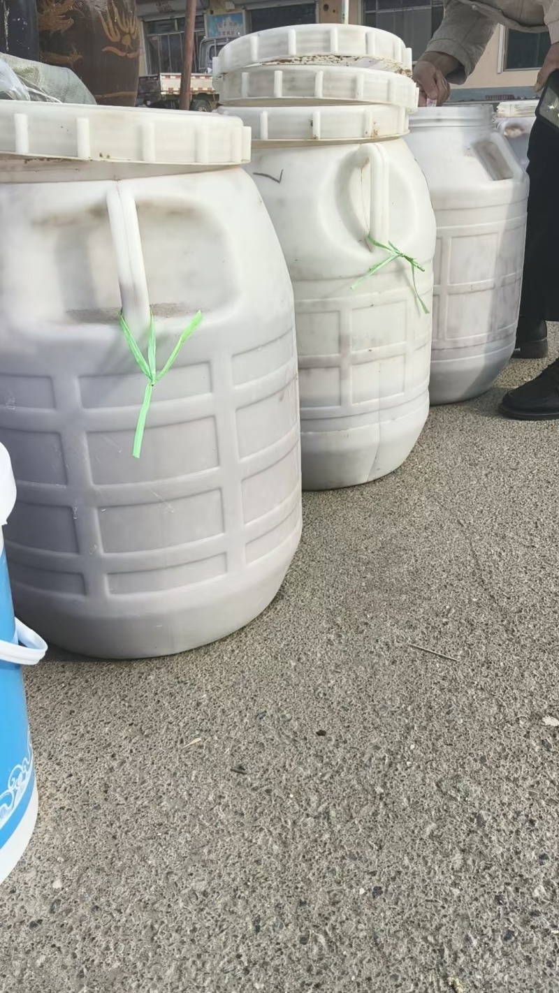 好货推荐虾酱常年供应可视频看货常年供应