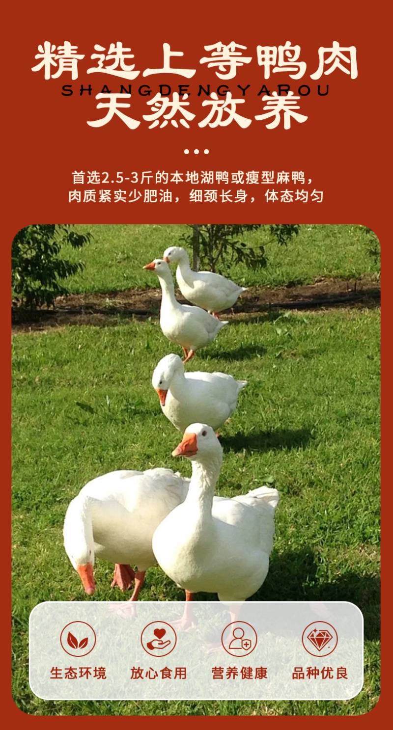 毛和友®带卤烤鸭/烤鸭