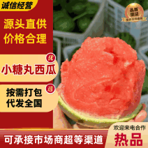【精选】小糖丸西瓜安徽西瓜产地直发香甜多汁
