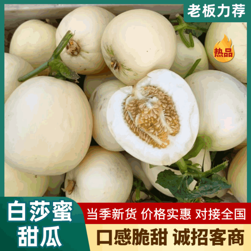 【精选】白莎蜜甜瓜安徽砀山小白瓜脆甜多汁量大优惠