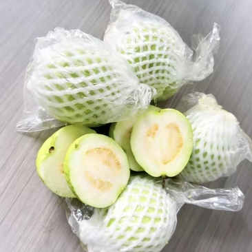 推荐广东阳春白心番石榴奶油芭乐珍珠芭乐白心芭乐货源充足