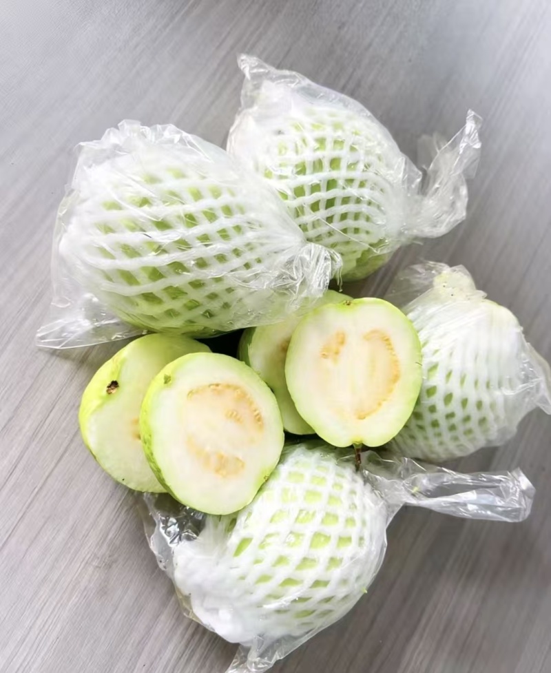 推荐广东阳春白心番石榴奶油芭乐珍珠芭乐白心芭乐货源充足