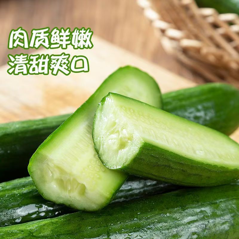 水果小黄瓜一件代发达人对接商超团购价格随行情变动