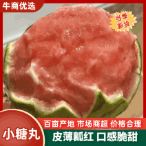 【精品】早春红玉砀山西瓜产地直发包熟包甜对接全国