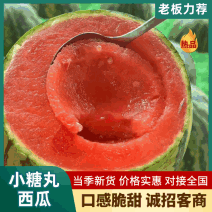 【精选】全美2k西瓜精品西瓜一手货源保质保量