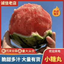 早春红玉小糖丸，保质保量，一手货源，包熟包熟
