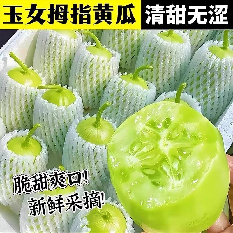 玉女黄瓜达人对接一件代发商超社团价格随行就市