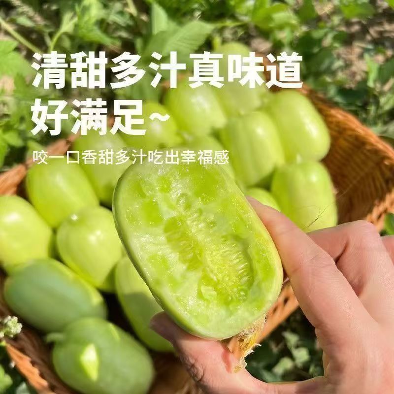 玉女黄瓜达人对接一件代发商超社团价格随行就市