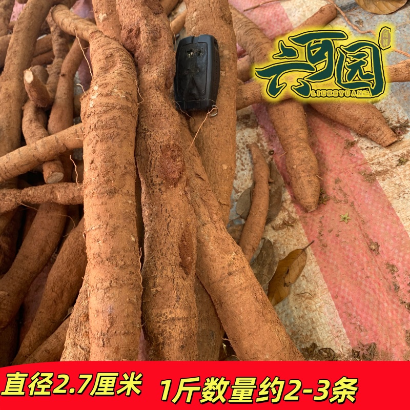 基地直供新鲜大叶牛大力薯质大牛现挖现发可视频看货