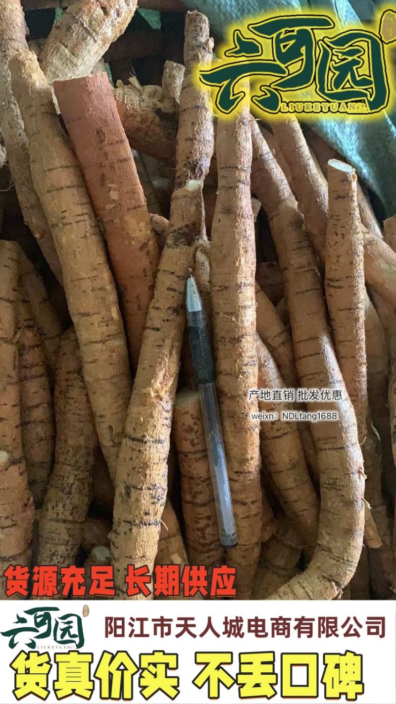 基地直供新鲜大叶牛大力薯质大牛现挖现发可视频看货