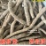 基地直供新鲜大叶牛大力薯质大牛现挖现发可视频看货