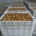 竹虫成品虫货量充足价格实惠量大从优对接全国市场欢迎来电