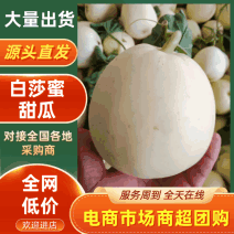 【精选】白莎蜜甜瓜砀山小白瓜产地直供皮薄脆甜