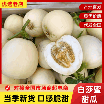 【推荐】白莎蜜甜瓜砀山甜瓜脆甜多汁现货现发